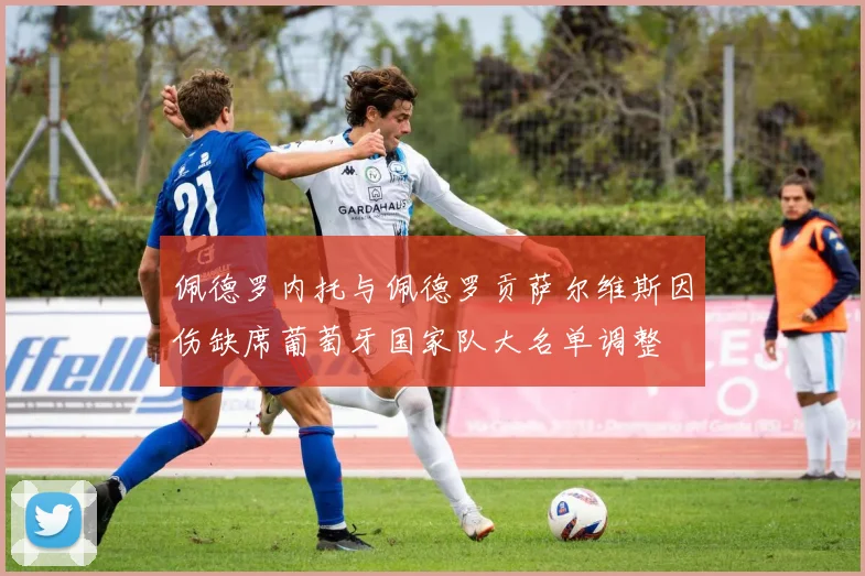 佩德罗内托与佩德罗贡萨尔维斯因伤缺席葡萄牙国家队大名单调整