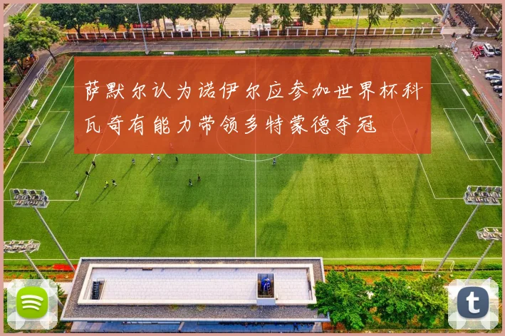 萨默尔认为诺伊尔应参加世界杯科瓦奇有能力带领多特蒙德夺冠