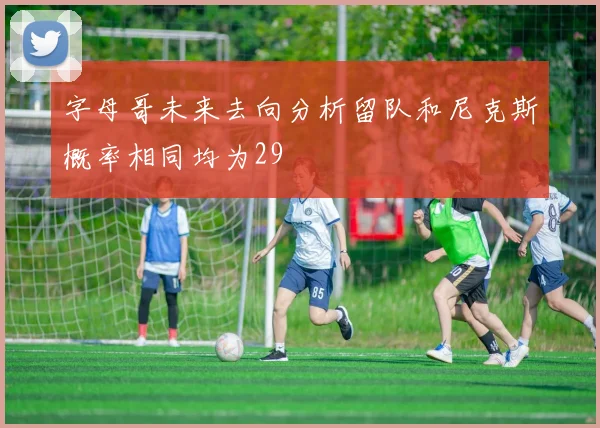 字母哥未来去向分析留队和尼克斯概率相同均为29