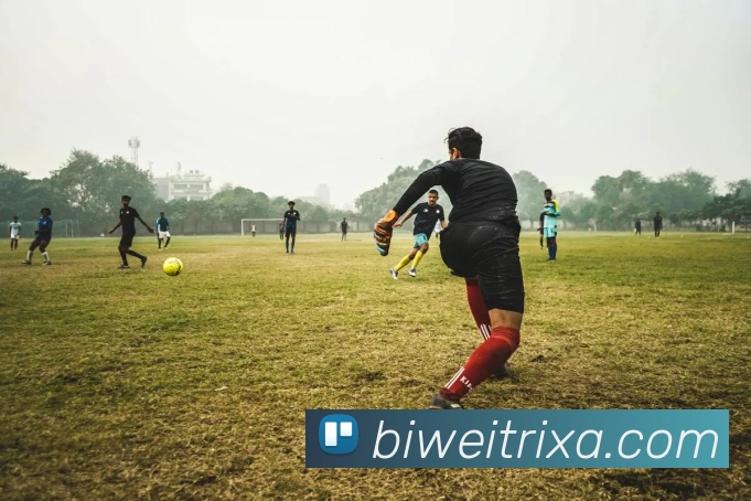 必威体育平台生态图